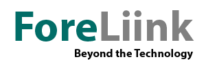 ForeLiink | Myanmar Web Designer | Web Design in Yangon